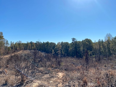 0 Vertie Hoggle Rd, North Perry, AL 36756 - photo 7