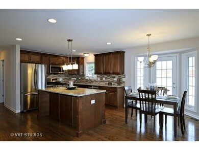 5060 Switch Grass Ln, Naperville, IL 60564 - photo 4