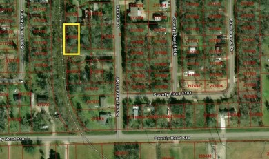TBD County Road 510, Brazoria, TX 77422 - photo 2