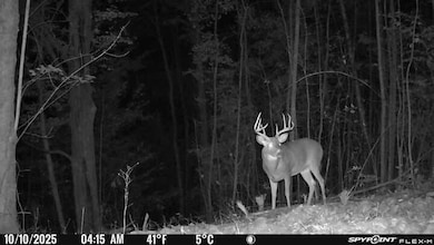 40 Acres + - 150th Ave, Leroy, MI 49655 - photo 2