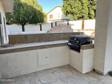 Backyard 1