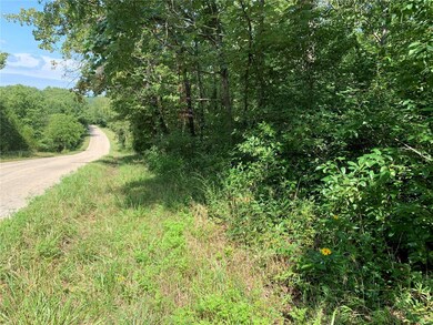 0 County Road 7160, Rolla, MO 65401 - photo 4