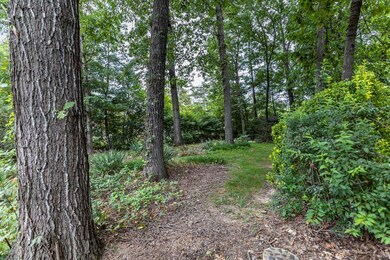 2846 Flint Ave, Harrisonburg, VA 22801 - photo 6