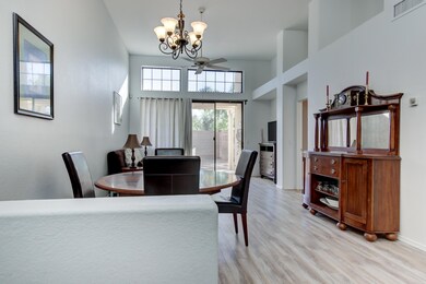 Open Living Concept