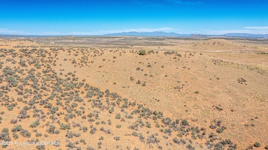 DJI_0566