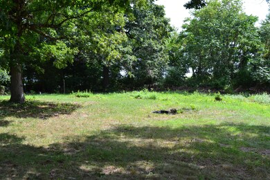 Front Lawn