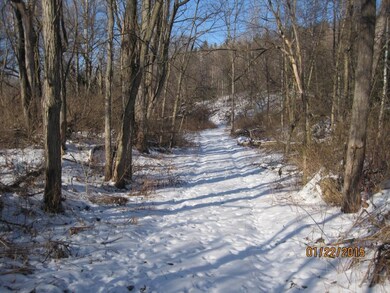 0 New York 17c, Owego, NY 13827 - photo 3