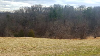 9999 Justice Dr, Leicester, NC 28748 - photo 4