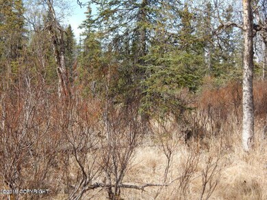 66051 Turku Ave, Anchor Point, AK 99556 - photo 2