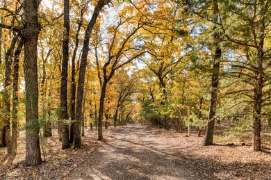 100 Sands Dr, Azle, TX 76020 - photo 2