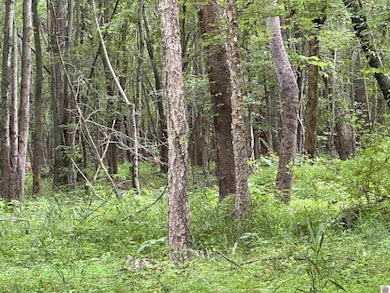 1 Timber Ridge Dr unit and Smith Grove Subd, Paducah, KY 42001 - photo 7