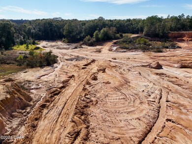 0 Malcolm Taylor Rd, Bonifay, FL 32425 - photo 7