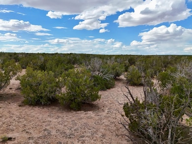 Tbd N7112, Saint Johns, AZ 85936 - photo 6