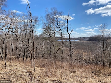 TBD (L9,B2) Goldfinch Ln SW, Bemidji, MN 56601 - photo 2