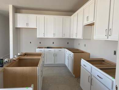 Lot 161 Kitchen and Island