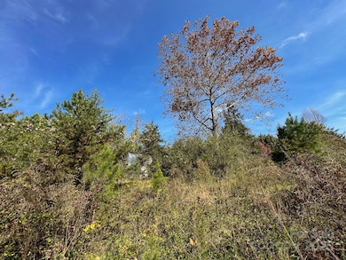 3510 U S 64, Rutherfordton, NC 28139 - photo 5