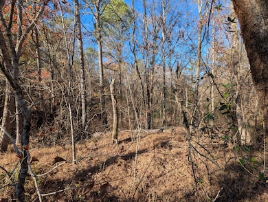 169 Volunteer Ln, Old Fort, TN 37362 - photo 4