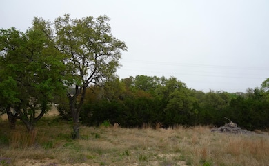 850 Brand Rd, Bulverde, TX 78163 - photo 5