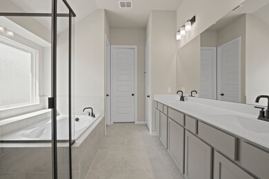 Owner's bath with dual sinks