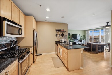 The Residences at the Grove unit 506, Forest Park, IL 60130 - photo 6