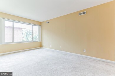 10570 Main St unit 509, Fairfax, VA 22030 - photo 4