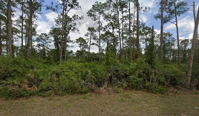 2018 Canton Ave, Alva, FL 33920 - photo 2