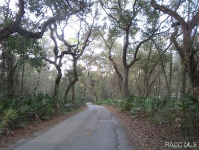 Tree lined Drive
