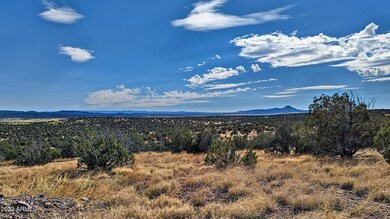 1100 W Warren Way unit 1208, Ash Fork, AZ 86320 - photo 5