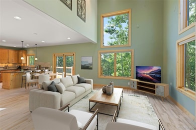 294 Mine Dump Rd, Fairplay, CO 80440 - photo 3