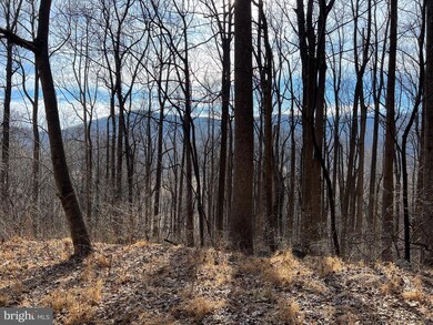 0 Harris Hollow Rd unit VARP2000934, Washington, VA 22747 - photo 2