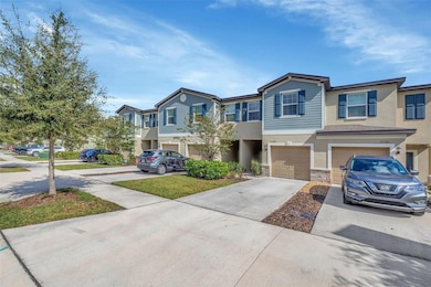 17581 Nectar Flume Dr, Land O' Lakes, FL 34638 - photo 2