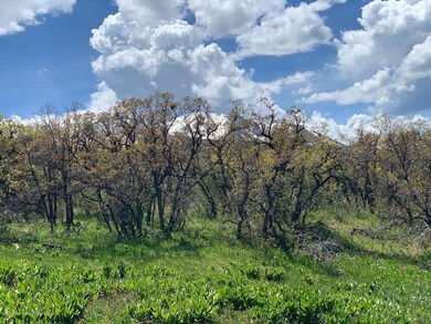 Lot View 3