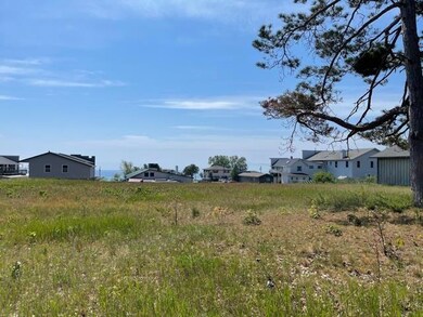 00 King's Hwy, Beaver Island, MI 49782 - photo 3