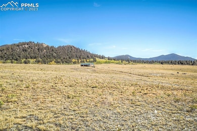 4250 Ute Trace Rd, Hartsel, CO 80449 - photo 5