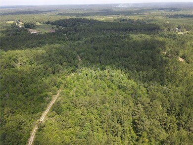 Aerial view of a forest