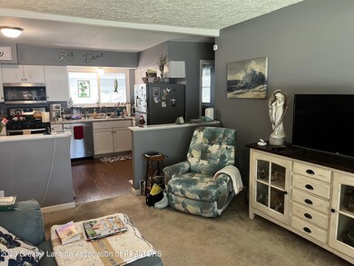 4509 Stillwell Ave, Lansing, MI 48911 - photo 4