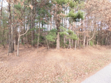 E4034 Steven Way, Spring Green, WI 53588 - photo 5