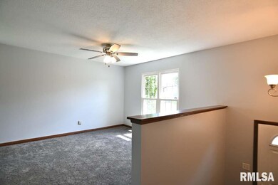 2424 W 58th St, Davenport, IA 52806 - photo 4