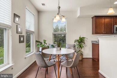 25230 Orchard View Terrace, Chantilly, VA 20152 - photo 7