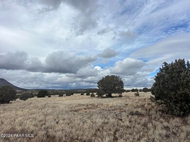60 Off of Rawhide Ranch Rd, Ash Fork, AZ 86320 - photo 4
