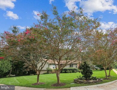 1725 Hollinwood Dr, Alexandria, VA 22307 - photo 4