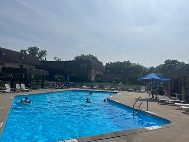 9199 North Rd unit E, Palos Hills, IL 60465 - photo 2