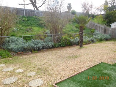 Good Size Backyard - 2 productive pomegranate tree