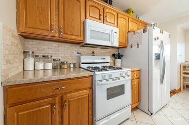 4525 Hirschberg Ct, Schiller Park, IL 60176 - photo 5