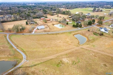 18.5 +/- Ac Barkley Bridge Rd, Hartselle, AL 35640 - photo 5