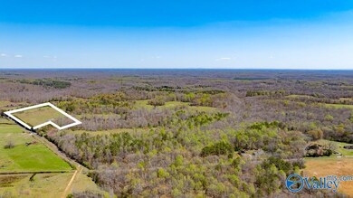 7204 Jernigan Hollow Rd, Athens, AL 35614 - photo 7