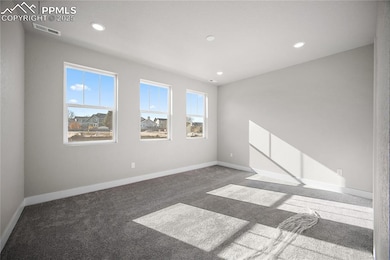 3071 Curly Grove, Colorado Springs, CO 80922 - photo 7