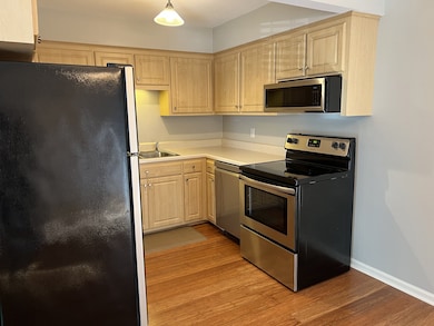 Kitchen has lots of cabinet space and stainless steel appliances. The dishwasher is brand new.