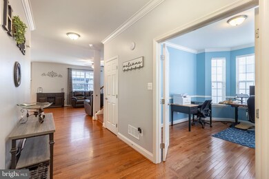 238 Matfield Ct, Carvel Beach, MD 21226 - photo 6