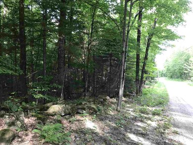 00 Holden Hill Rd unit Lot 2, Weston, VT 05161 - photo 6